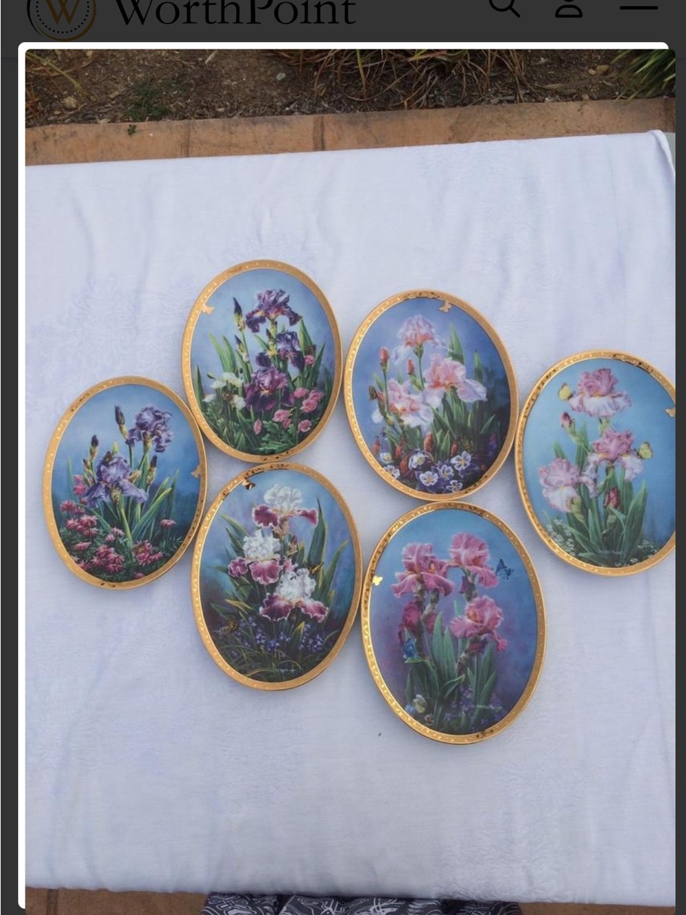The Bradford Exchange A rainbow of Iris Decorative Plates 1995 Set of 6